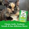 imageGreenies Feline Adult Natural Dental Care Cat Treats Catnip Flavor 21 oz Pouch21 Ounce Pack of 1