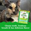 imageGreenies Feline Adult Natural Dental Care Cat Treats Catnip Flavor 21 oz Pouch46 Ounce Pack of 1