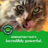 imageGreenies Feline Adult Natural Dental Care Cat Treats Catnip Flavor 21 oz Pouch46 Ounce Pack of 1