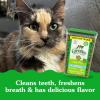 imageGreenies Feline Adult Natural Dental Care Cat Treats Catnip Flavor 21 oz Pouch975 Ounce Pack of 1