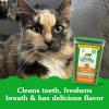 imageGreenies Feline Natural Dental Care Cat Treats Tempting Tuna Flavor 21 oz TubChicken