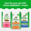 imageGreenies Feline Natural Dental Care Cat Treats Tempting Tuna Flavor 21 oz TubSalmon