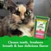 imageGreenies Feline Natural Dental Care Cat Treats Tempting Tuna Flavor 21 oz TubSalmon
