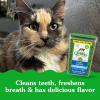imageGreenies Feline Natural Dental Care Cat Treats Tempting Tuna Flavor 21 oz TubTuna