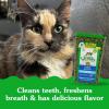 imageGreenies Feline Natural Dental Care Cat Treats Tempting Tuna Flavor 21 oz TubTuna