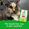 imageGreenies Feline Pill Pockets for Cats Natural Soft Cat Treats Catnip Flavor 16 oz Pouch 45 TreatsCatnip
