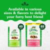imageGreenies Feline Pill Pockets for Cats Natural Soft Cat Treats Catnip Flavor 16 oz Pouch 45 TreatsCatnip