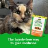imageGreenies Feline Pill Pockets for Cats Natural Soft Cat Treats Catnip Flavor 16 oz Pouch 45 TreatsChicken