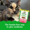 imageGreenies Feline Pill Pockets for Cats Natural Soft Cat Treats Catnip Flavor 16 oz Pouch 45 TreatsSalmon