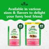 imageGreenies Feline Pill Pockets for Cats Natural Soft Cat Treats Catnip Flavor 16 oz Pouch 45 TreatsSalmon