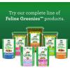 imageGreenies Feline Smartbites Skin ampamp Fur Crunchy and Soft Natural Cat Treats Chicken Flavor 46 oz PouchChicken