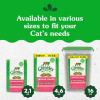 imageGreenies Feline Smartbites Skin ampamp Fur Crunchy and Soft Natural Cat Treats Chicken Flavor 46 oz PouchSalmon