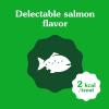 imageGreenies Feline Smartbites Skin ampamp Fur Crunchy and Soft Natural Cat Treats Chicken Flavor 46 oz PouchSalmon
