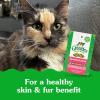 imageGreenies Feline Smartbites Skin ampamp Fur Crunchy and Soft Natural Cat Treats Chicken Flavor 46 oz PouchSalmon