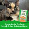 imageFELINE GREENIES Dental Treats Salmon Flavor Mega size 46 ozChicken