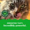 imageFELINE GREENIES Dental Treats Salmon Flavor Mega size 46 ozChicken