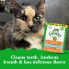 imageFELINE GREENIES Dental Treats Salmon Flavor Mega size 46 ozChicken