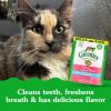 imageFELINE GREENIES Dental Treats Salmon Flavor Mega size 46 ozSalmon