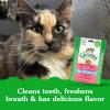 imageFELINE GREENIES Dental Treats Salmon Flavor Mega size 46 ozSalmon