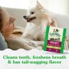 imageGreenies Aging Care Regular Natural Dental CareDog Treats 27 oz Pack 27 TreatsWeight Management