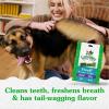 imageGreenies Large Natural Dental Care Dog Treats Blueberry Flavor 12 oz Pouch 8 TreatsMint