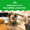 imageGreenies Large Natural Dental Care Dog Treats Blueberry Flavor 12 oz Pouch 8 TreatsOriginal  Blueberry   Sweet Potato VP