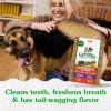imageGreenies Large Natural Dental Care Dog Treats Blueberry Flavor 12 oz Pouch 8 TreatsPumpkin Spice