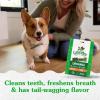 imageGreenies Original Petite Natural Dental Care Dog Treats 12 oz Pouch 20 TreatsOriginal