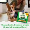 imageGreenies Original Petite Natural Dental Care Dog Treats 12 oz Pouch 20 TreatsOriginal
