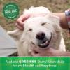 imageGreenies Original Regular Natural Dental Care Dog Treats 54 oz Pack 54 TreatsOriginal