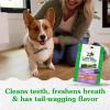 imageGreenies Petite Natural Dental Care Dog Treats Blueberry Flavor 12 oz Pouch 20 TreatsBlueberry
