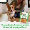 imageGreenies Petite Natural Dental Care Dog Treats Blueberry Flavor 12 oz Pouch 20 TreatsGingerbread