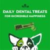 imageGreenies Petite Natural Dental Care Dog Treats Blueberry Flavor 12 oz Pouch 20 TreatsMint