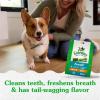 imageGreenies Petite Natural Dental Care Dog Treats Blueberry Flavor 12 oz Pouch 20 TreatsMint