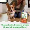 imageGreenies Petite Natural Dental Care Dog Treats Blueberry Flavor 12 oz Pouch 20 TreatsPumpkin Spice
