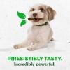 imageGreenies Petite Natural Dental Care Dog Treats Blueberry Flavor 12 oz Pouch 20 TreatsPumpkin Spice