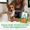 imageGreenies Petite Natural Dental Care Dog Treats Blueberry Flavor 12 oz Pouch 20 TreatsSweet Potato