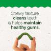 imageGreenies Puppy Regular Size Natural Dental Dog Treats 12 oz Pouch 12 TreatsOriginal