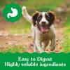 imageGreenies Puppy Regular Size Natural Dental Dog Treats 12 oz Pouch 12 TreatsOriginal