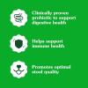 imageGreenies Supplements Digestive Health Probiotics for Dogs Chicken Flavor 156 oz Tub of 80 ct Soft Chews Dog ProbioticsChicken