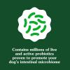 imageGreenies Supplements Digestive Health Probiotics for Dogs Chicken Flavor 156 oz Tub of 80 ct Soft Chews Dog ProbioticsChicken