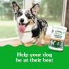 imageGreenies Supplements Digestive Health Probiotics for Dogs Chicken Flavor 156 oz Tub of 80 ct Soft Chews Dog ProbioticsChicken