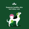 imageGreenies Supplements Dog Skin and Coat Supplements with Fish Oil ampamp Omega 3 Fatty Acids Chicken Flavor 147 oz 80Count Soft Chews40 Count Pack of 1