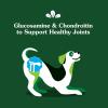 imageGreenies Supplements Hip and Joint Supplements for Dogs Chicken Flavor 608 oz 30 Count Soft Chews Dog Joint Supplements30 Count Pack of 1