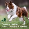 imageGreenies Supplements Hip and Joint Supplements for Dogs Chicken Flavor 608 oz 30 Count Soft Chews Dog Joint Supplements80 Count Pack of 2