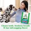 imageGreenies Regular Natural Dental Care Dog Treats Blueberry Flavor 12 oz Pouch 12 TreatsMint