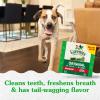 imageGreenies Regular Natural Dental Care Dog Treats Blueberry Flavor 12 oz Pouch 12 TreatsOriginal  Blueberry   Sweet Potato VP