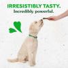 imageGreenies Regular Natural Dental Care Dog Treats Blueberry Flavor 12 oz Pouch 12 TreatsPumpkin Spice