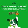 imageGreenies Regular Natural Dental Care Dog Treats Blueberry Flavor 12 oz Pouch 12 TreatsSweet Potato