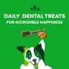 imageGreenies Regular Natural Dental Care Dog Treats Blueberry Flavor 12 oz Pouch 12 TreatsSweet Potato
